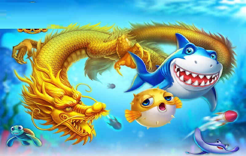 Hack game bắn cá Rồng online có thể bị khoá tài khoản
